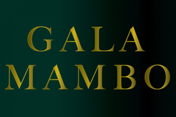 Lote Subasta Gala MAMBO