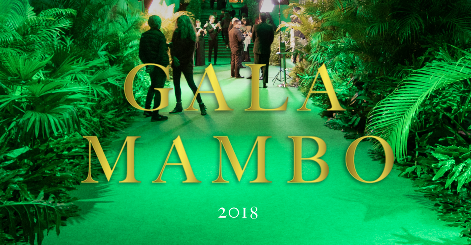 Gala MAMBO 2018