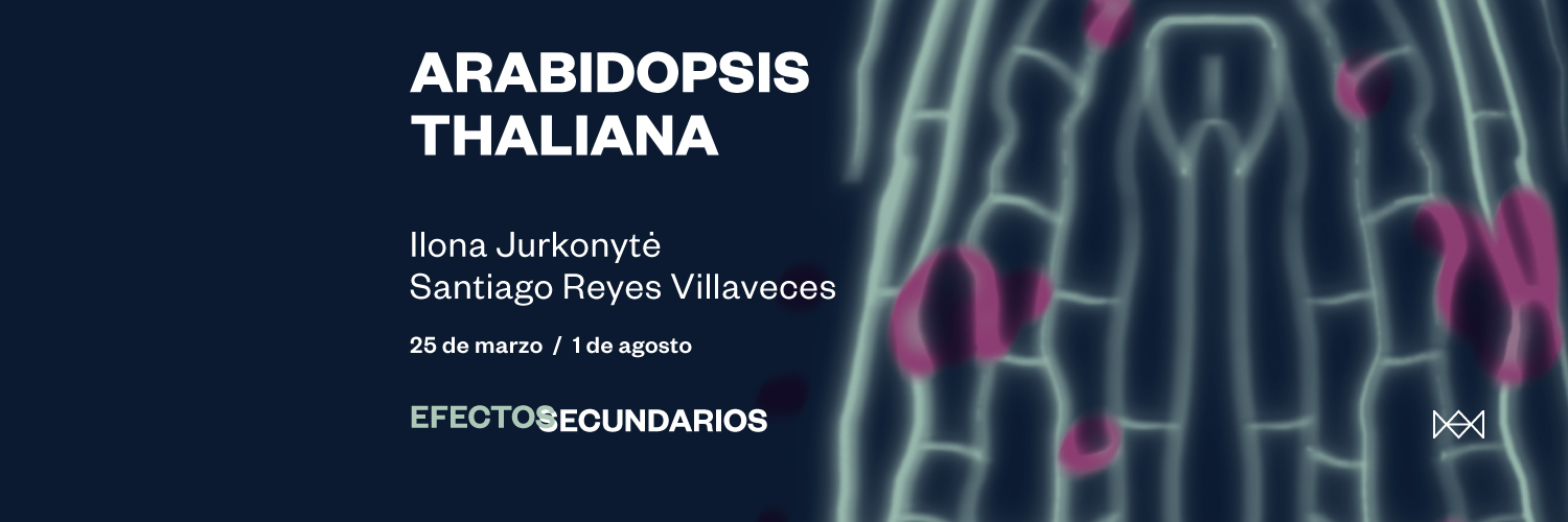 Exposición Arabidopsis Thaliana. Ilona Jurkonytė / Santiago Reyes Villaveces