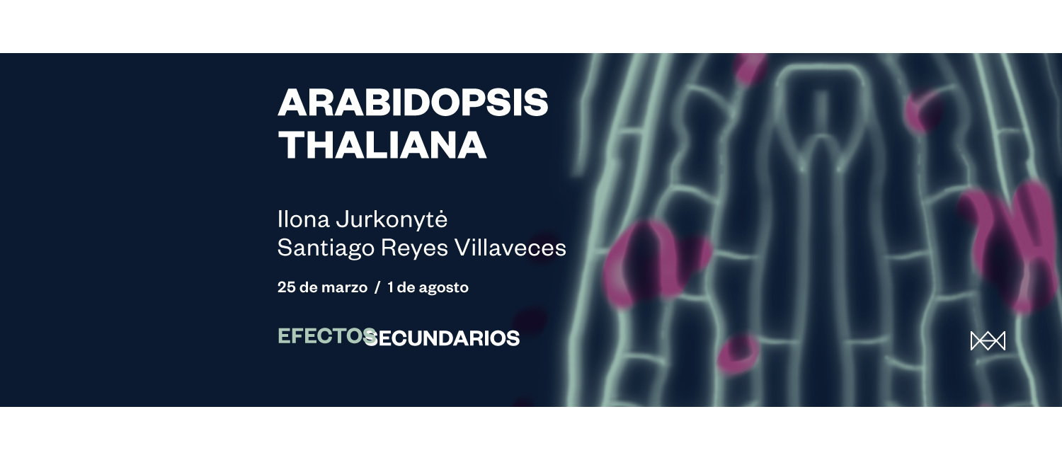 Exposición Arabidopsis Thaliana. Ilona Jurkonytė /  Santiago Reyes Villaveces