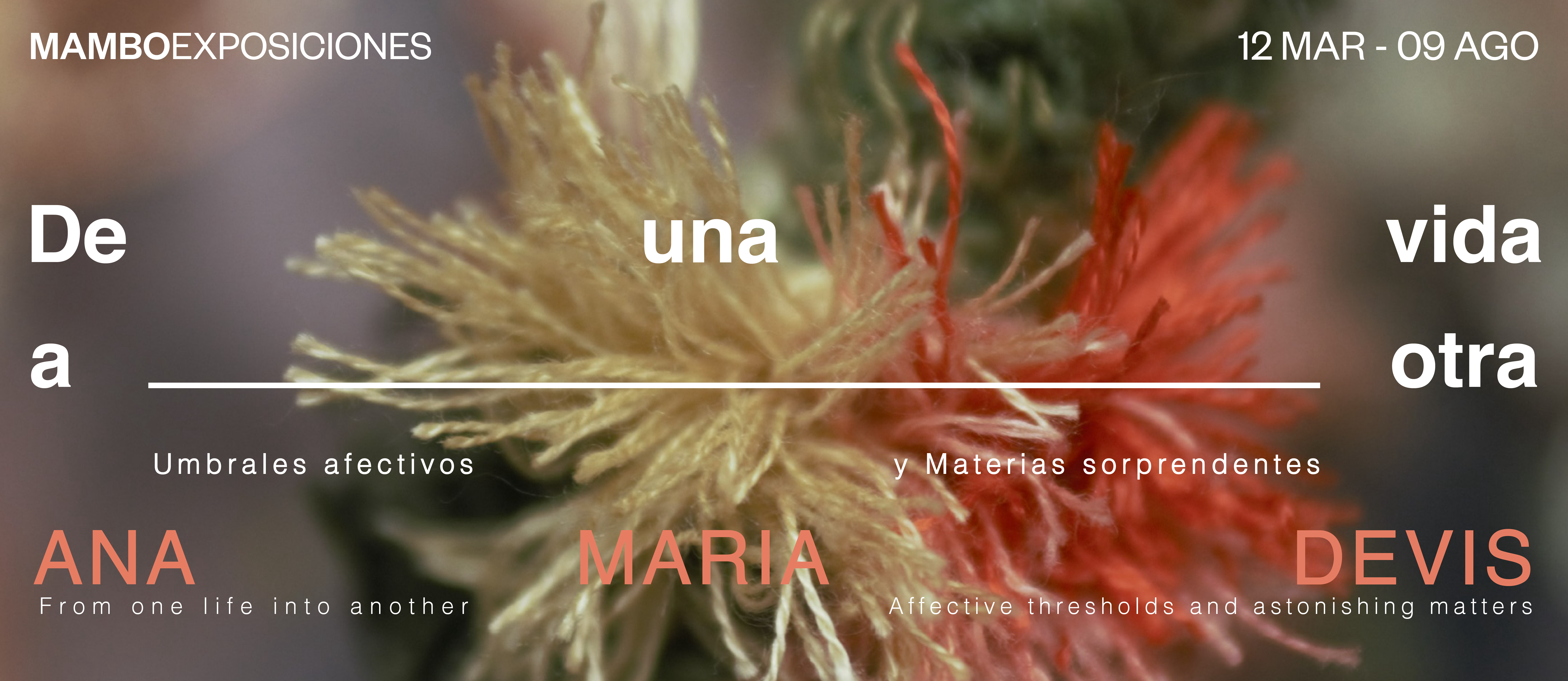 <i>De una vida a otra. Umbrales afectivos y materias sorprendentes.</i><br>Ana María Devis