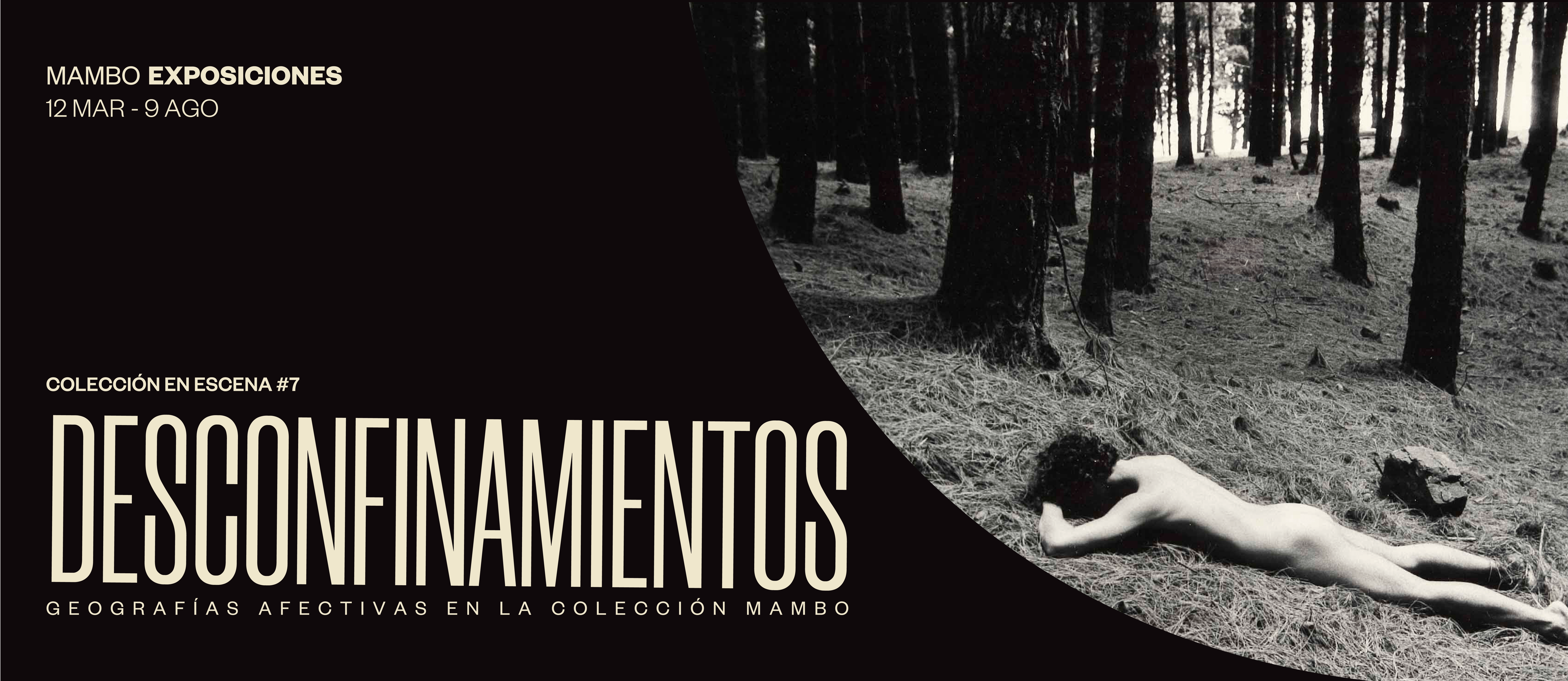 Colección en escena #7<i> Desconfinamientos: </i>Geografías afectivas en la Colección MAMBO
